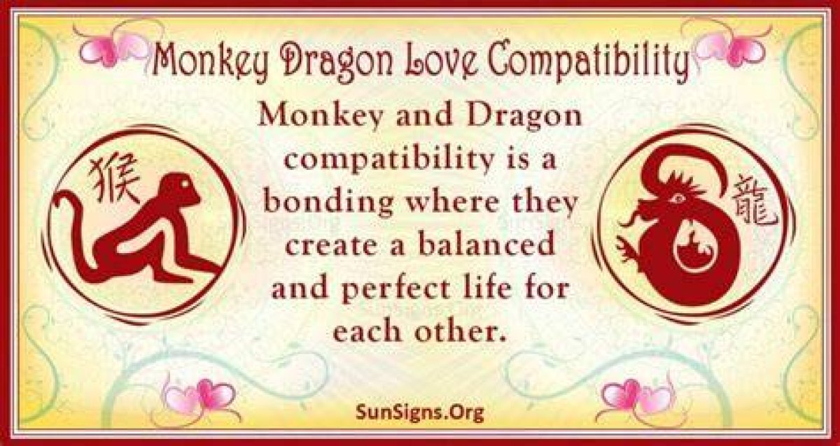Exploring the Intriguing Monkey Dragon Compatibility