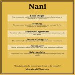 Nani Meaning: Understanding the Significance Behind the Term