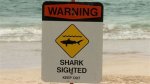Shark Attacks in Honolulu, Hawaii