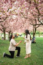 The Ultimate Guide to Paparazzi-Worthy Proposals