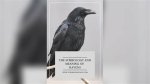 Unlocking the Mystique of Ravens: What Is a Raven?