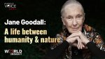 Unraveling the Life and Work of Jane Coaston