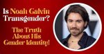 Unraveling the Mystery: Is Noah Galvin Trans?