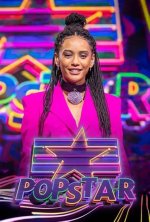 What Is the Pop Star and Tv Show Host Worth?